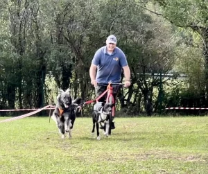 Cani-trottinette avec Cyril Raboisson, éducateur canin